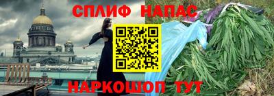 крисы Свободный