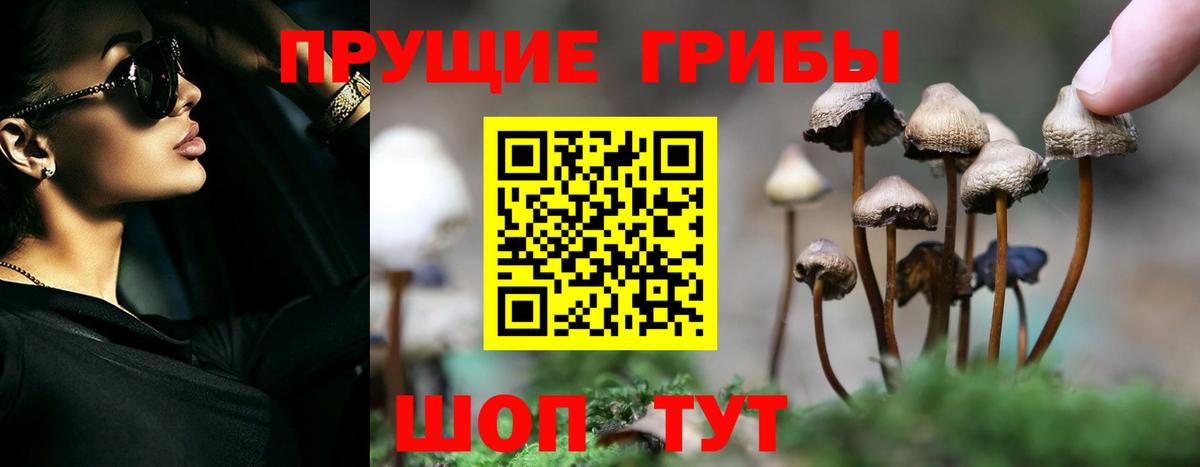 продажа наркотиков  Вход с VPN  Орёл  Галлюциногенные грибы GOLDEN TEACHER  Псилоцибиновые грибы Magic Shrooms 